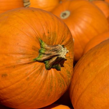 Pumpkin carving